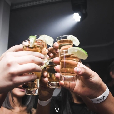 Photo of people clinking their glasses filled with alcoholic drinks.